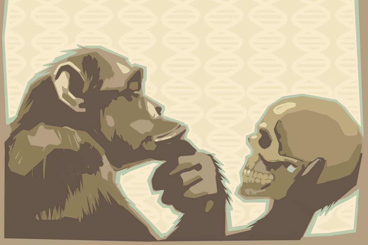 Evolution video poster3